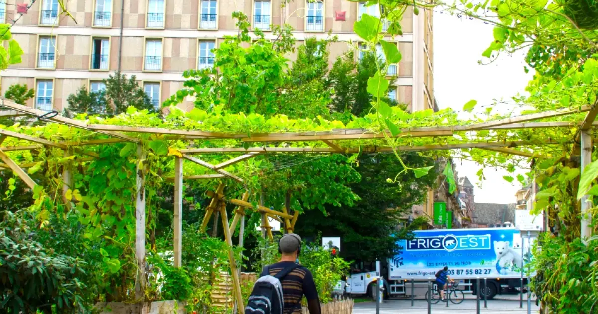 From Suburban Sprawl to Strategic Design