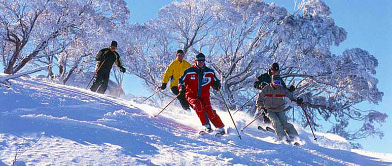 Snow Skiing Header