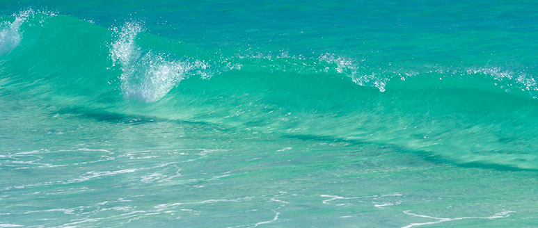 Tasmania Surf Header