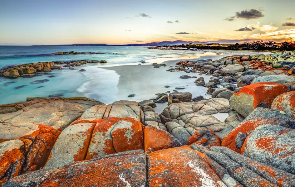 Discover The Bay of Fires